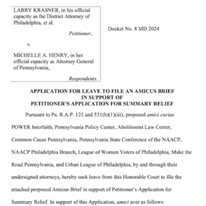 Community Orgs File Amicus Brief to Stand up for Voters & Oppose Act 40