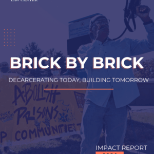 Brick by Brick: Decarcerating Today, Building Tomorrow - ALC's 2024 Impact Report