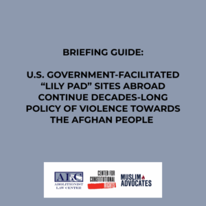Challenging U.S. Expansion of Detention Practices