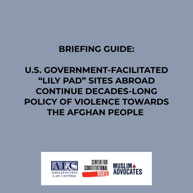 Challenging U.S. Expansion of Detention Practices